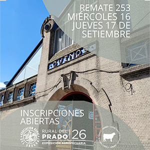 Lote 21