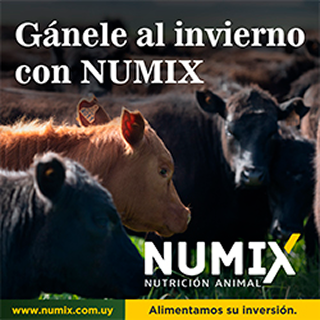 Numix